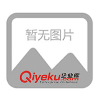 Elysee爱丽舍带转向指示灯外后视镜